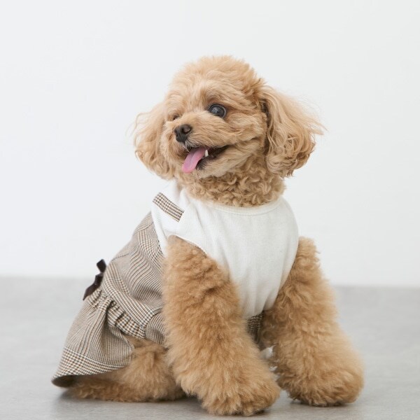 【リンク】【DOG】チェックドッキングワンピ