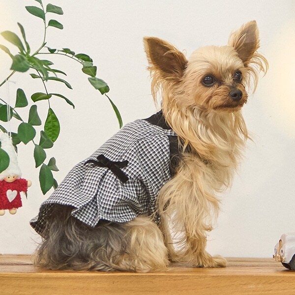 【リンク】【DOG】チェックドッキングワンピ