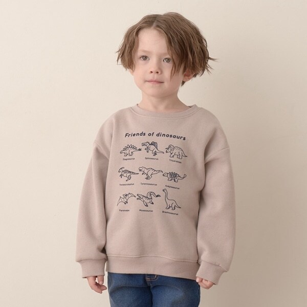 【表コットン毛玉バイバイ裏起毛】アソートスウェット