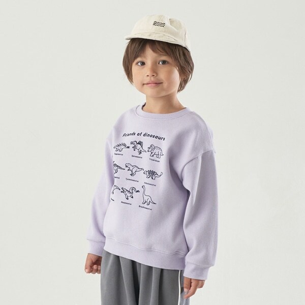 【表コットン毛玉バイバイ裏起毛】アソートスウェット