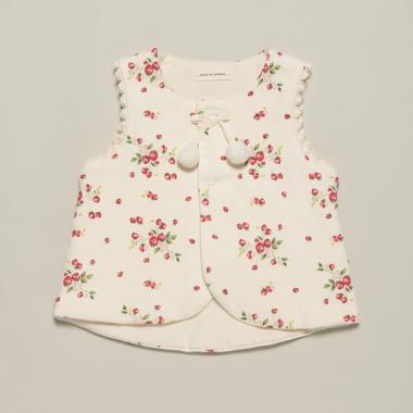 【オーガニック】野イチゴベスト