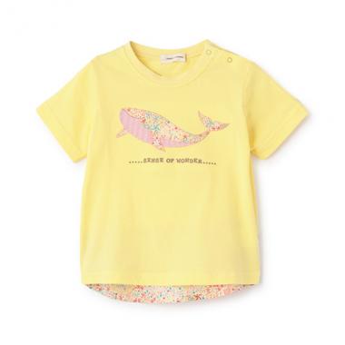 接触冷感アデラジャクジラTシャツ
