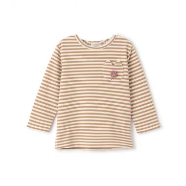 ボーダートレーナー