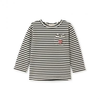 ボーダートレーナー