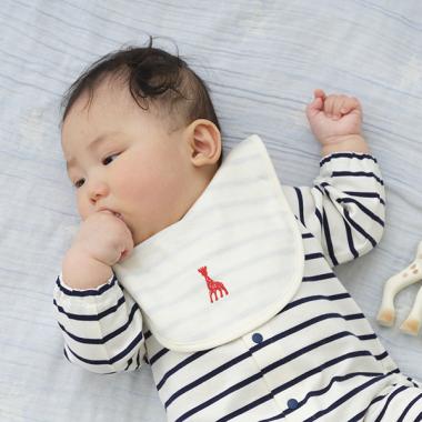 ベーシックボーダースタイ【日本製】