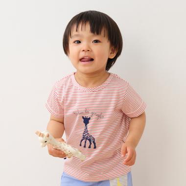 ソフィープリントボーダー半袖Tシャツ【日本製】