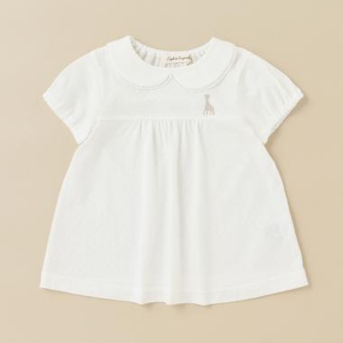 衿つき半袖Tシャツ【日本製】