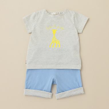 Ptボーダー半袖スーツ【日本製】