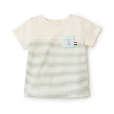 ボーダー切替半袖Tシャツ