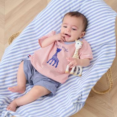 プリントボーダー半袖スーツ【日本製】