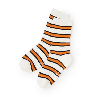 マルチボーダーソックス