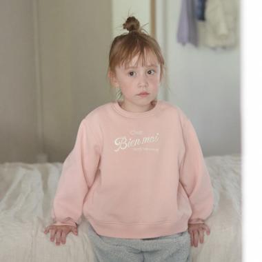 【表コットン毛玉バイバイ裏起毛】アソート刺しゅうスウェット