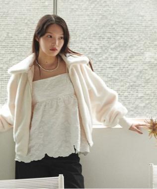 ファーブルゾン