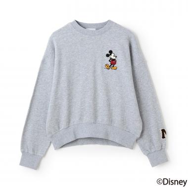 【Disney】【リンク】ワッペントレーナー