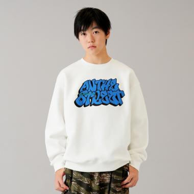 【大人向けサイズあり】【毛玉になりにくいしっかり暖か素材】裏起毛・アップリケ刺繍ビッグトレーナー