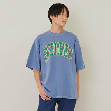 【大人向けサイズあり】【ヘビーウェイト天竺】ピグメントカレッジロゴTシャツ