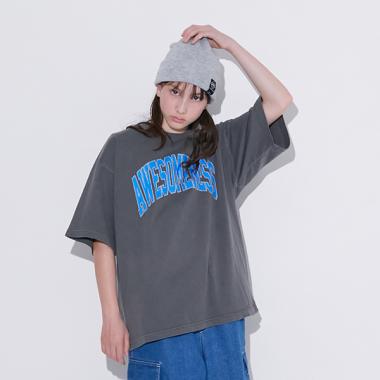 【大人向けサイズあり】【ヘビーウェイト天竺】ピグメントカレッジロゴTシャツ