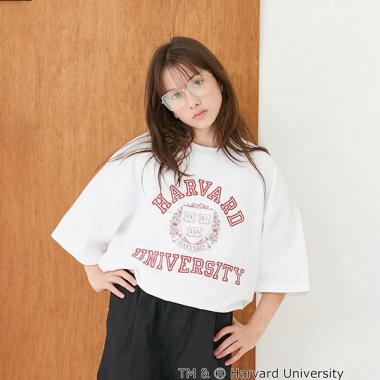 【大人向けサイズあり】【接触冷感】ハイクールコットン・ハーバード大学半袖Tシャツ