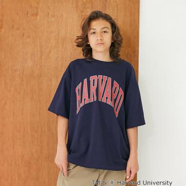 【大人向けサイズあり】【接触冷感】ハイクールコットン・ハーバード大学半袖Tシャツ