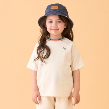 アーティストストライプリブ半袖Tシャツ