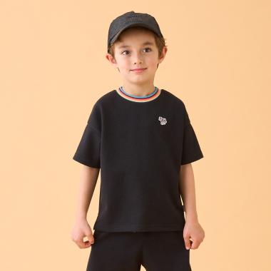 アーティストストライプリブ半袖Tシャツ