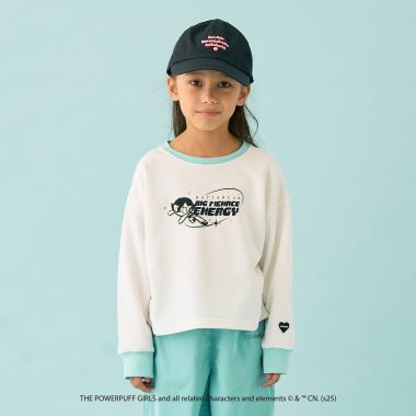 【防汚加工】【パワーパフ ガールズ】アソートキャラ裏毛