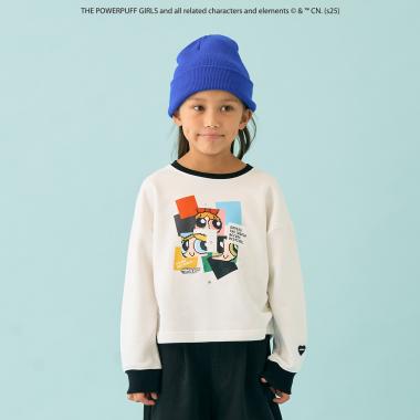 【防汚加工】【パワーパフ ガールズ】アソートキャラ裏毛