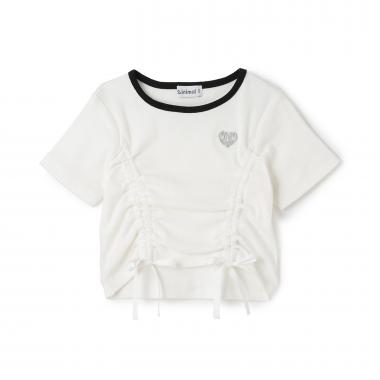 テレコドロストT