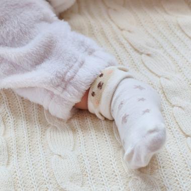 いきものカップソックス