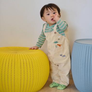 恐竜ボーダーレイヤード風カバーオール