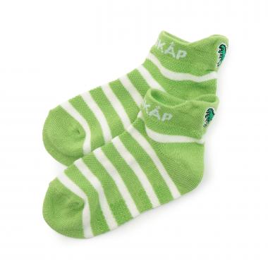 恐竜刺しゅうボーダースニーカーインソックス