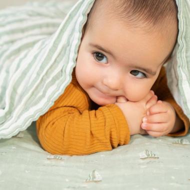 【aden + anais】スワドル/セイリングシーズ/オーガニック/4枚