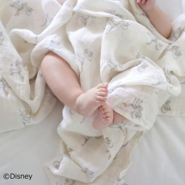 【aden + anais】スワドル/マイダーリンダンボ/3枚