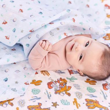 【aden + anais】スワドル/トイストーリー/3枚