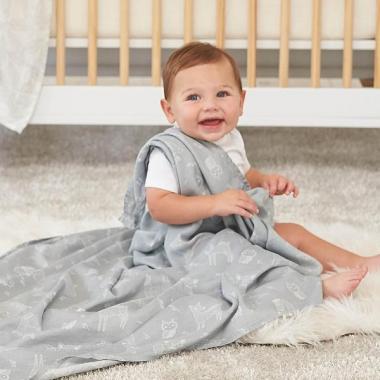 【aden + anais】スワドル/ウッジー/シルキーソフト/2枚