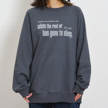 【親子リンク】ラグランスウェットアソートロゴプルオーバー/トレーナー/親子リンク