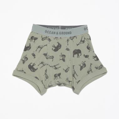 【オーシャン＆グラウンド】ボクサーパンツ Animal Stamp