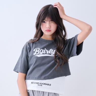 ピグメントレタードセット