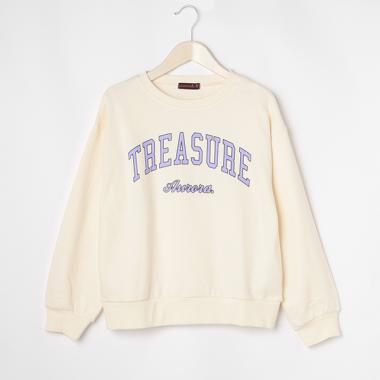 カレッジロゴプルオーバー