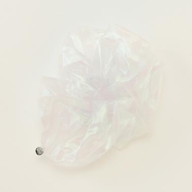 オーロラシュシュ