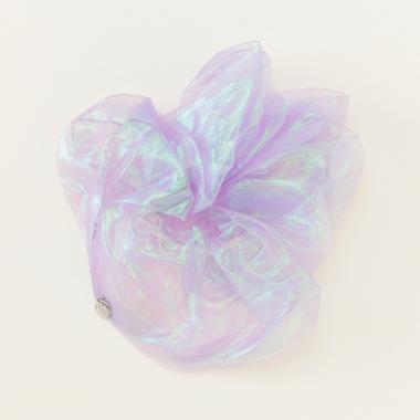 オーロラシュシュ