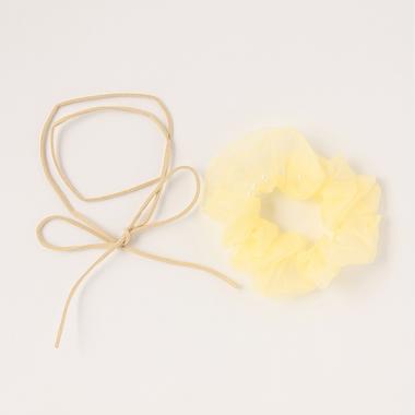 パールシアーシュシュ