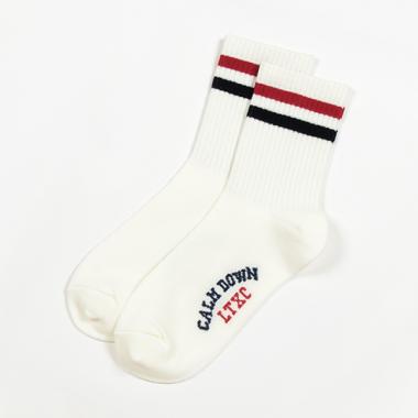 2本ラインクルーソックス