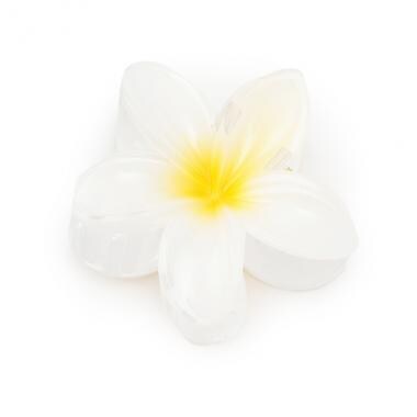 プルメリアバンスクリップ