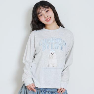 【綿100%】グラフィックアソート長袖T