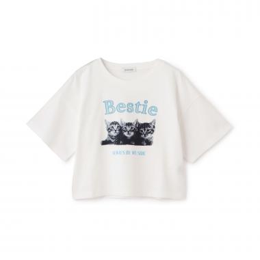 【綿100%】キャットモチーフフォト半T