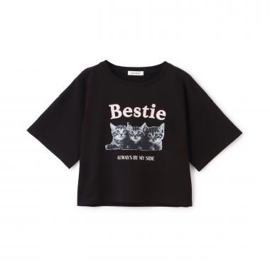 【綿100%】キャットモチーフフォト半T