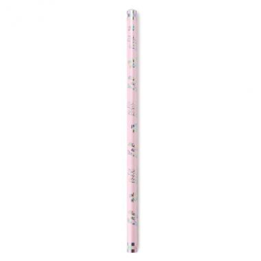 レインボー箔鉛筆2B