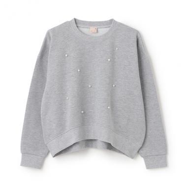 【リンク】パールトレーナー(ジュニア)