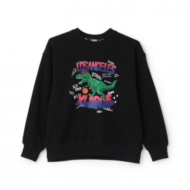 バスケット恐竜トレーナー